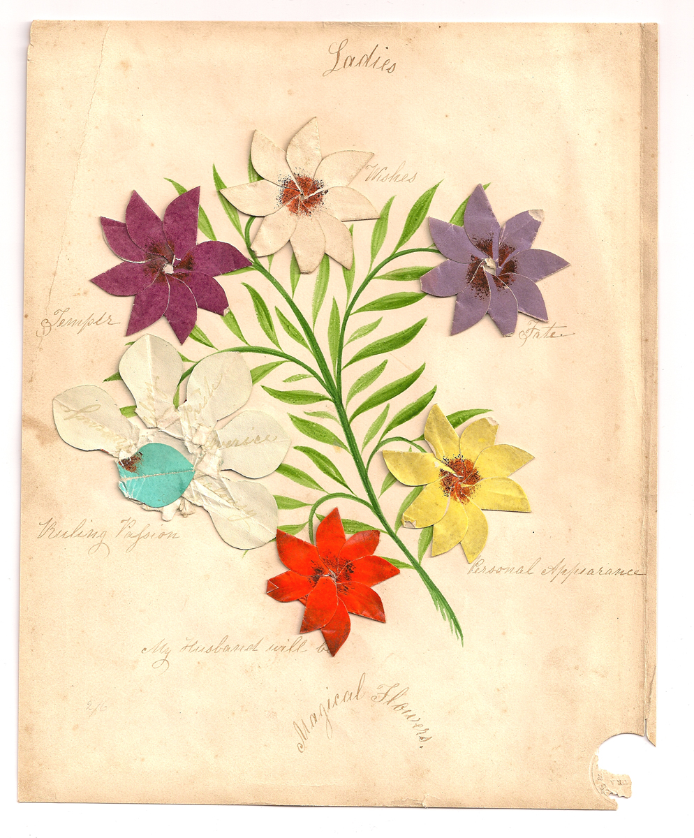 Lot 07 - Magical Flowers.jpg